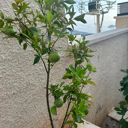 Kalkan Royal Honeymoon * Каш